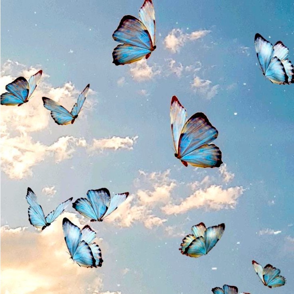 Meet your Posher, Aleisha